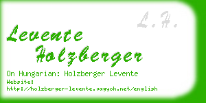 levente holzberger business card